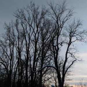 Meet your Posher, Meara